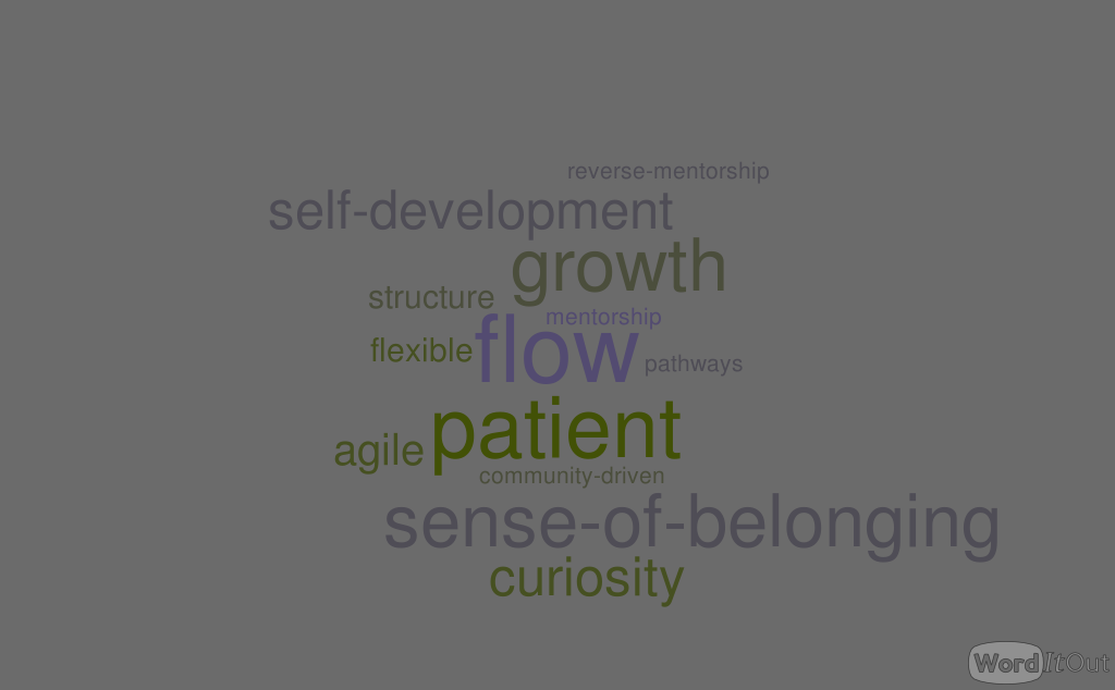 A word cloud of values printed in different font size, colour, and location. The largest words are growth, flow, sense of belonging. In smaller print, the words curiosity, self-development, and structure appear. In even smaller print, words like mentorship, or agility are shown.