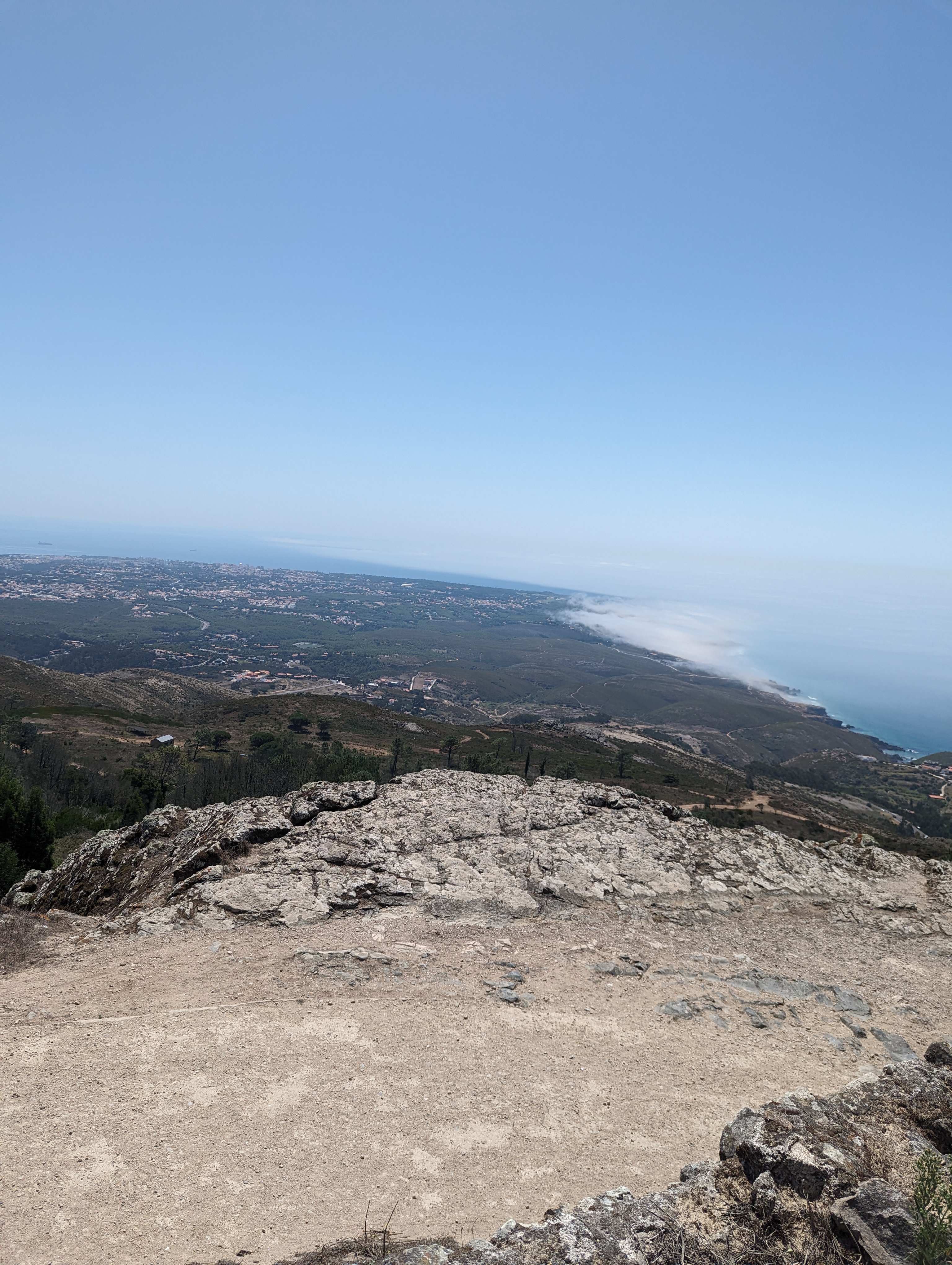 A view of the Atlantic Ocean and the forest from a high vantage point in Portugal.